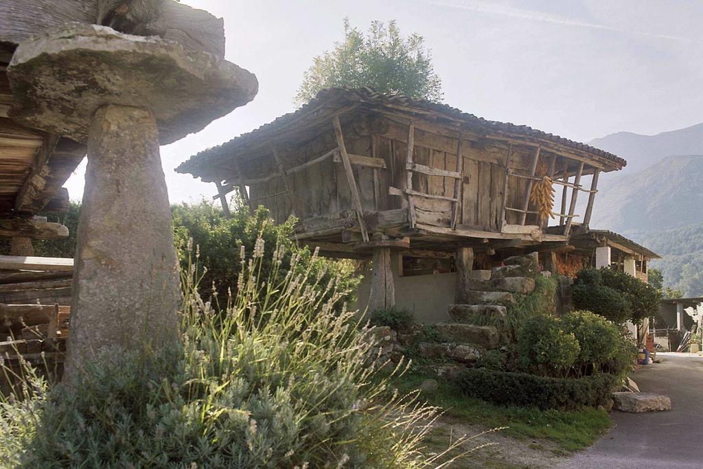 Hotel El Babu Caravia Bagian luar foto